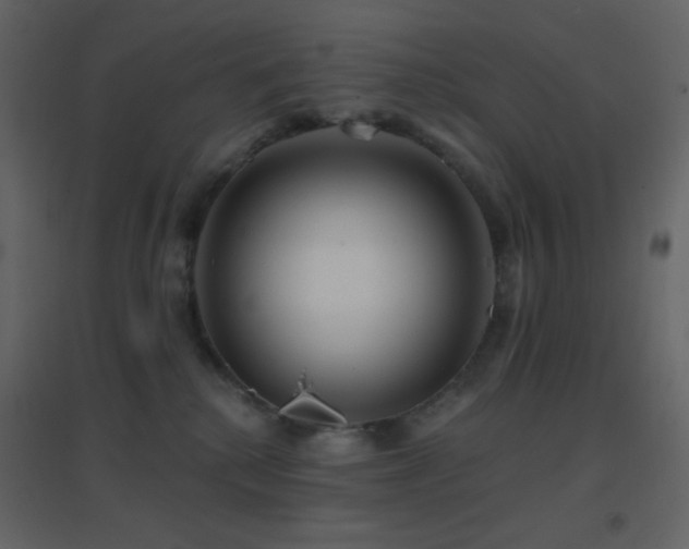 X0000096690280200802051354