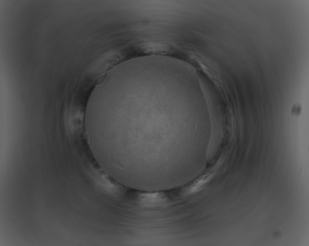 X0000096690281200802051354