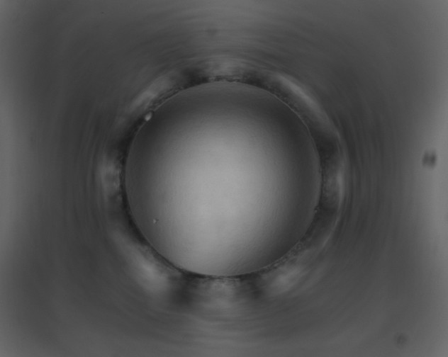 X0000096690282200802051354