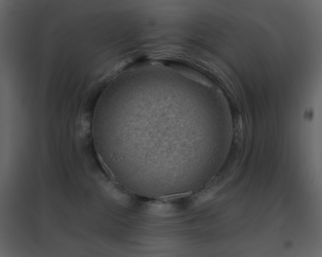 X0000096690284200802051354