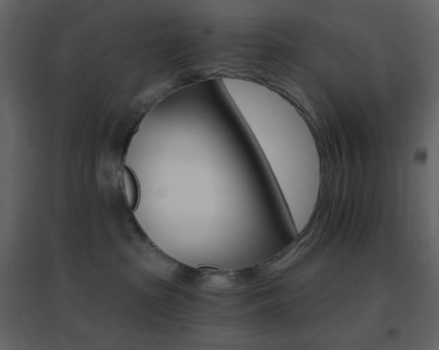 X0000096690285200802051354