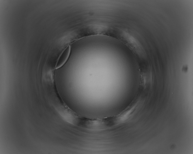 X0000096690286200802051354