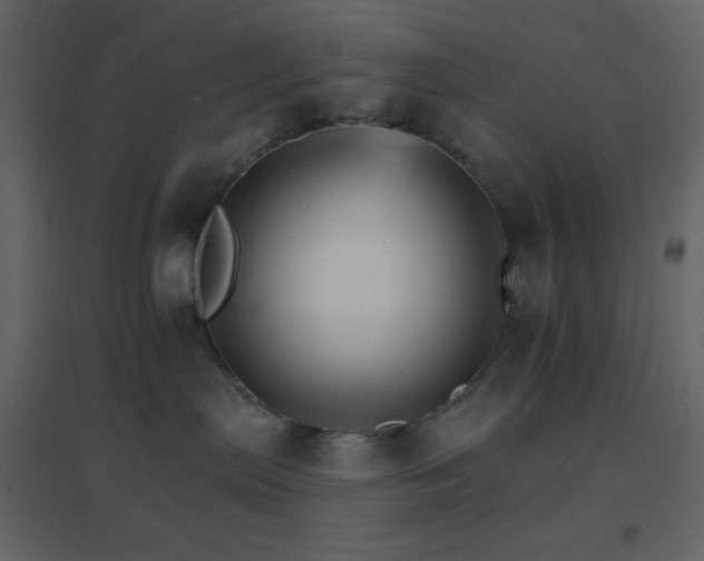 X0000096690287200802051354