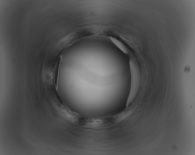 X0000096690288200802051354