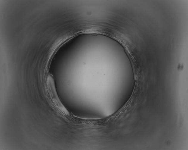 X0000096690289200802051353