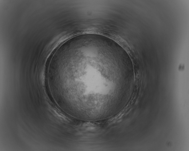 X0000096690290200802051353