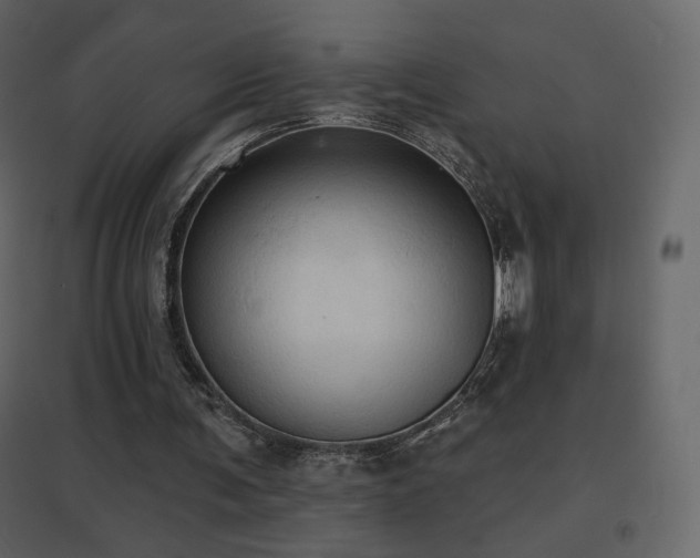 X0000096690291200802051353