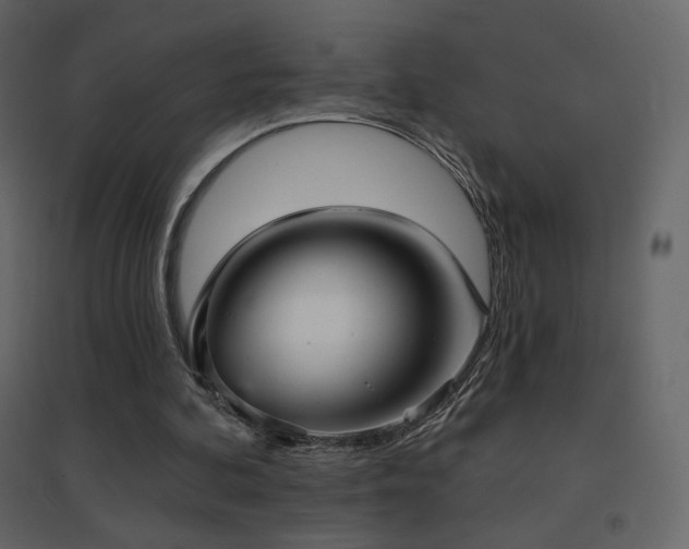 X0000096690292200802051353