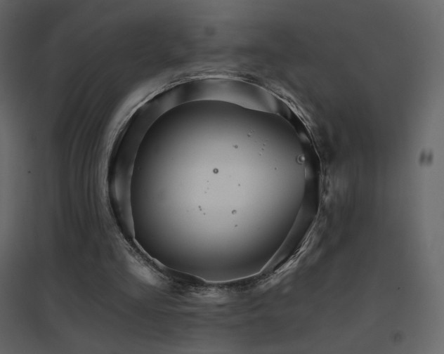 X0000096690293200802051353