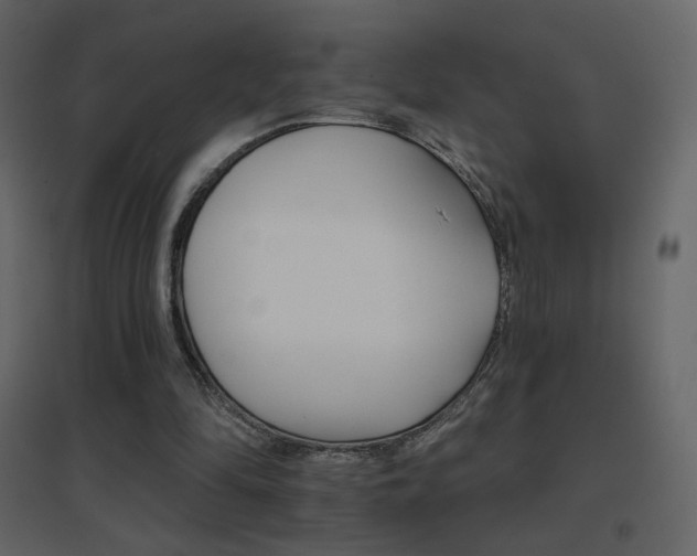 X0000096690294200802051353