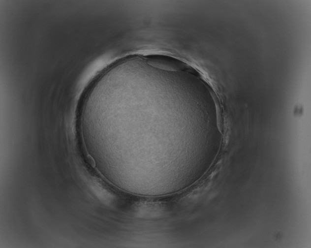 X0000096690296200802051353