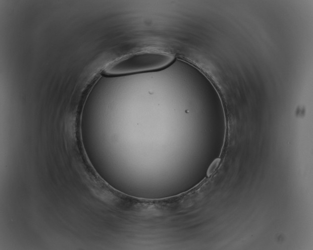 X0000096690297200802051353