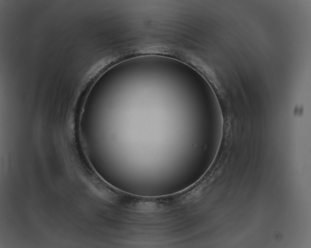 X0000096690298200802051353