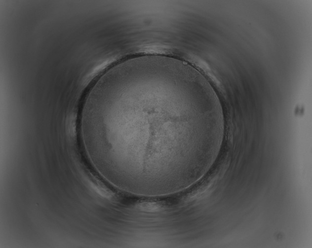 X0000096690299200802051353