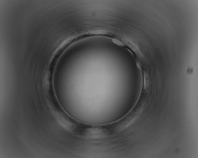 X0000096690300200802051353