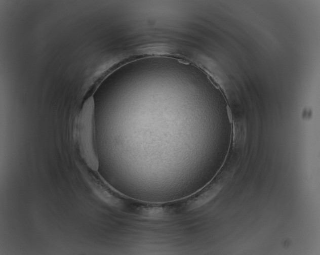 X0000096690301200802051353