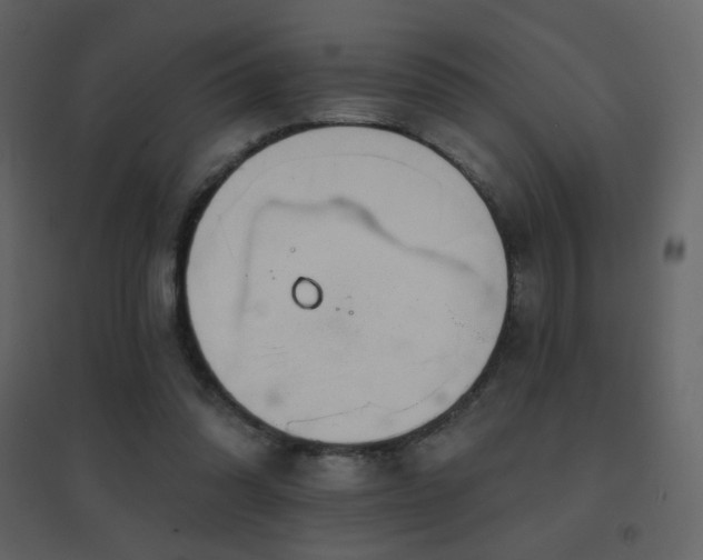 X0000096690302200802051353