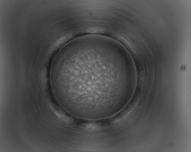 X0000096690303200802051353