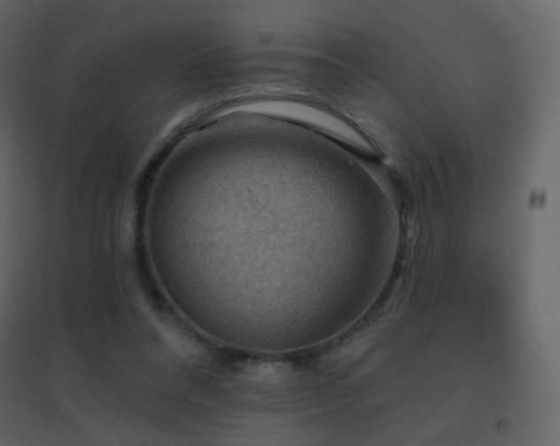 X0000096690304200802051353