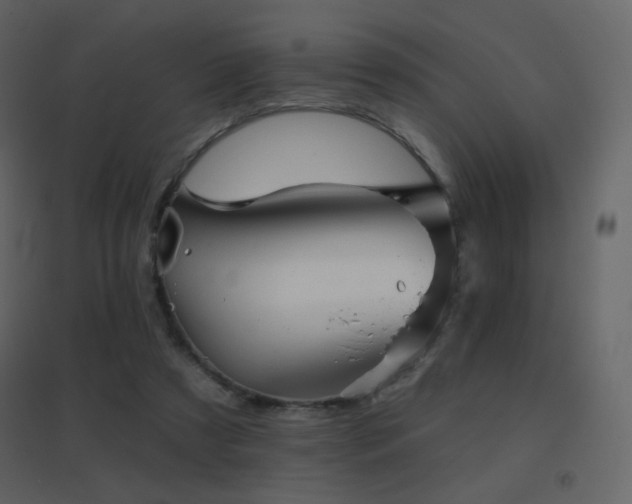 X0000096690305200802051353