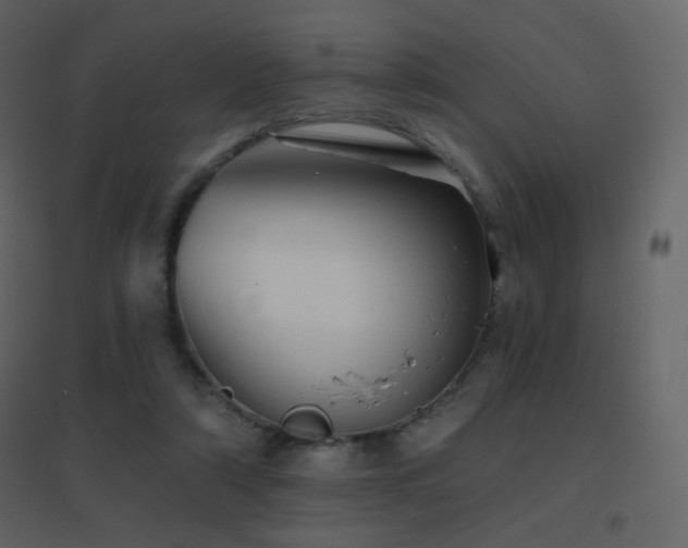 X0000096690306200802051353