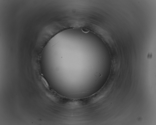 X0000096690307200802051353