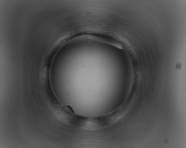 X0000096690308200802051353