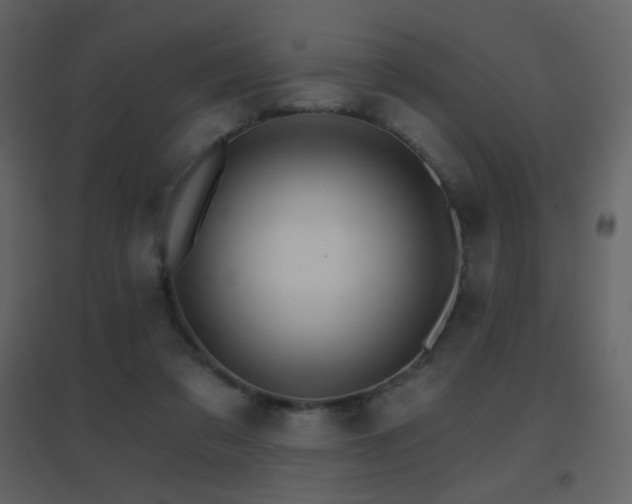 X0000096690309200802051353