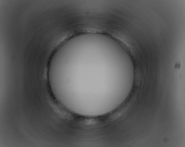 X0000096690310200802051353