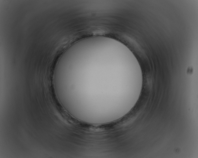 X0000096690311200802051353