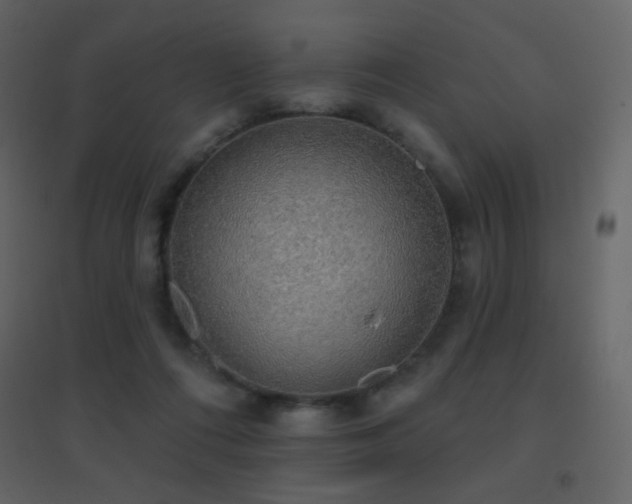 X0000096690312200802051353