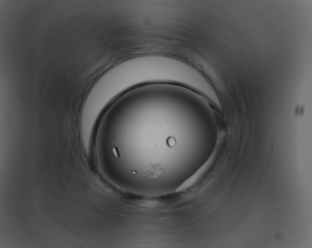 X0000096690313200802051353