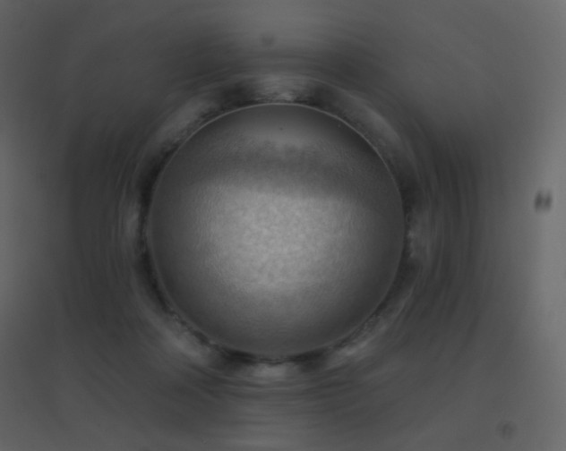 X0000096690314200802051353