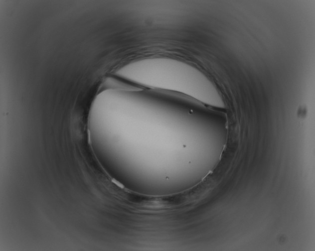 X0000096690316200802051353