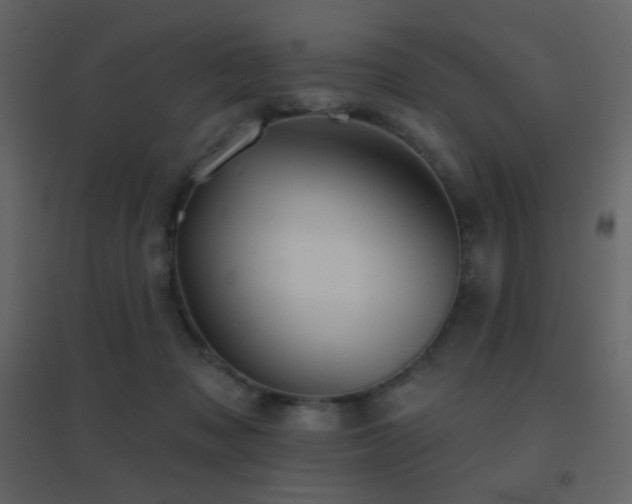 X0000096690317200802051353