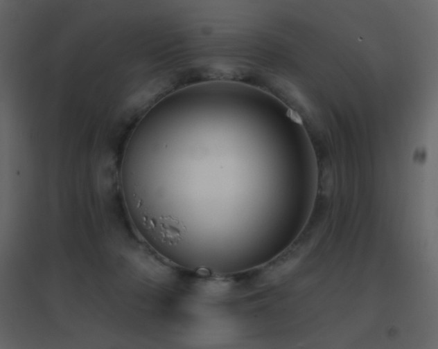 X0000096690318200802051353