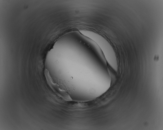 X0000096690320200802051353