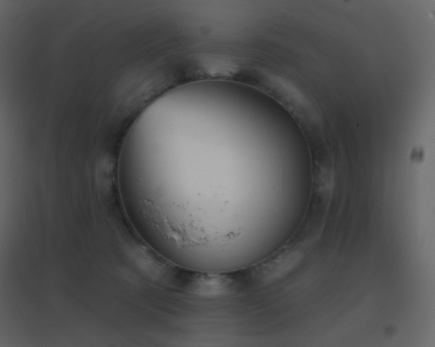 X0000096690321200802051353