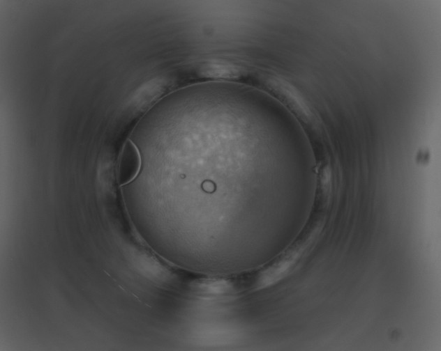 X0000096690322200802051353