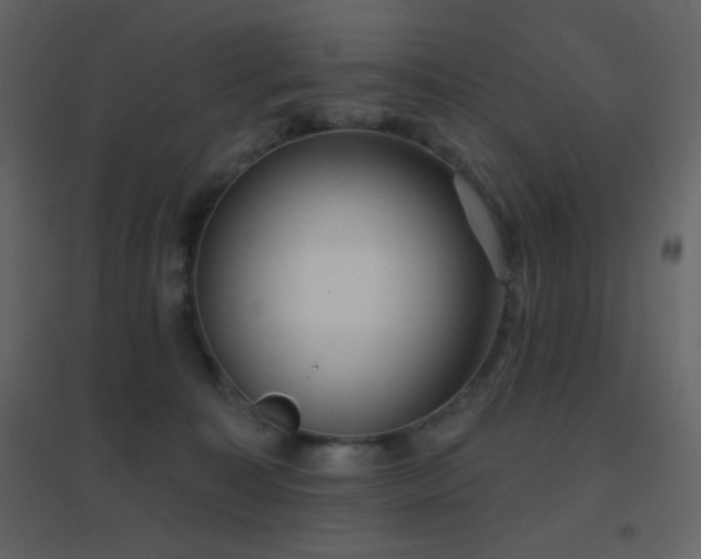 X0000096690323200802051353