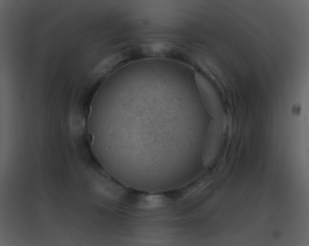 X0000096690324200802051353