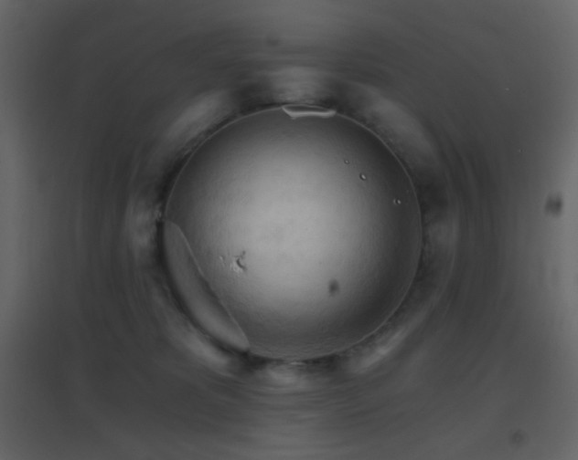 X0000096690325200802051353