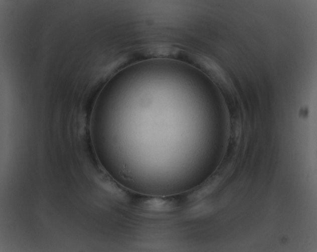 X0000096690326200802051353