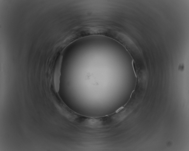 X0000096690327200802051353