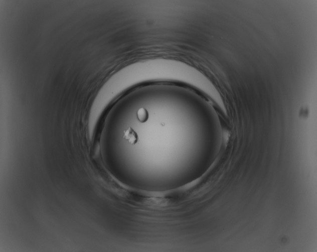 X0000096690328200802051353