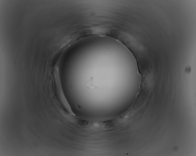 X0000096690329200802051353