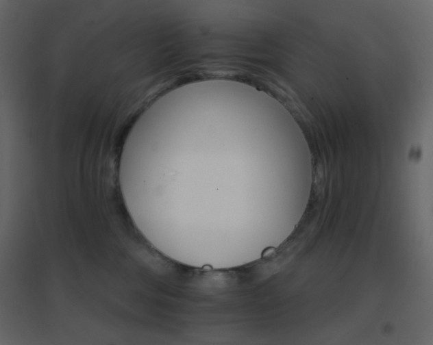 X0000096690330200802051353