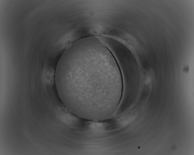 X0000096690332200802051352