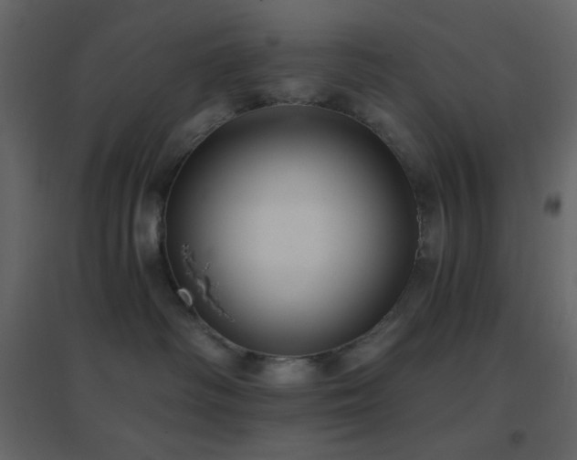 X0000096690334200802051352