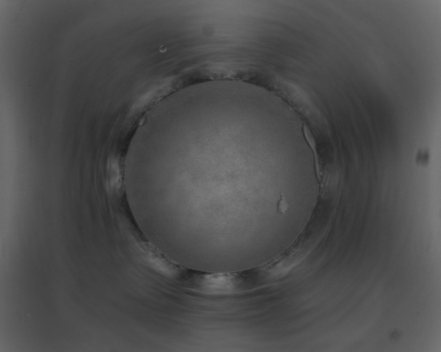 X0000096690335200802051352